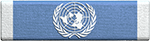 UN Ribbon