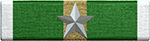 Senior Instructor Ribbon