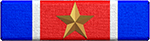 Special Service Ribbon Bronze