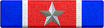 Special Service Ribbon Silver