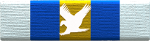 Flight School Pilot Ribbon