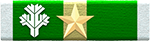 Master Recon Instructor Ribbon